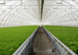 濟(jì)南網(wǎng)站設(shè)計(jì)開(kāi)發(fā)-濟(jì)南春軒網(wǎng)業(yè)有限公司